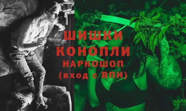 стафф Дмитриев