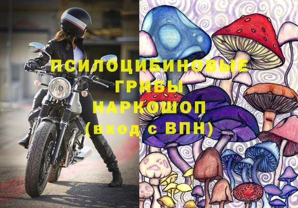 круглые Дмитровск